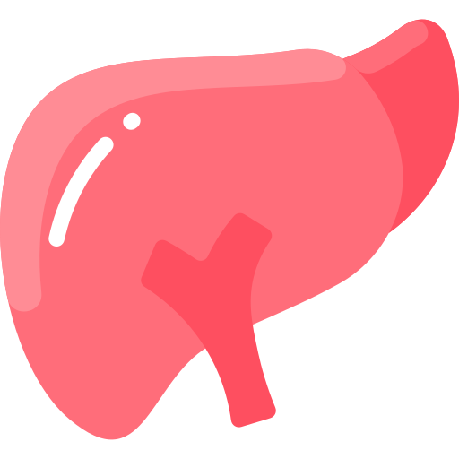 Support liver function