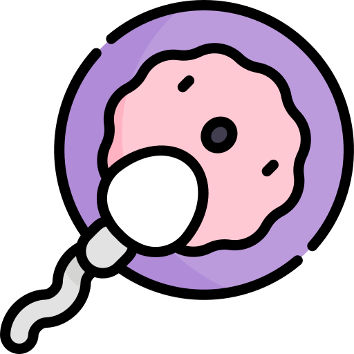 Physiology - Hormones - Family planning