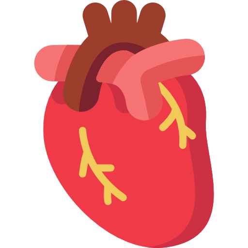 Cardiovascular